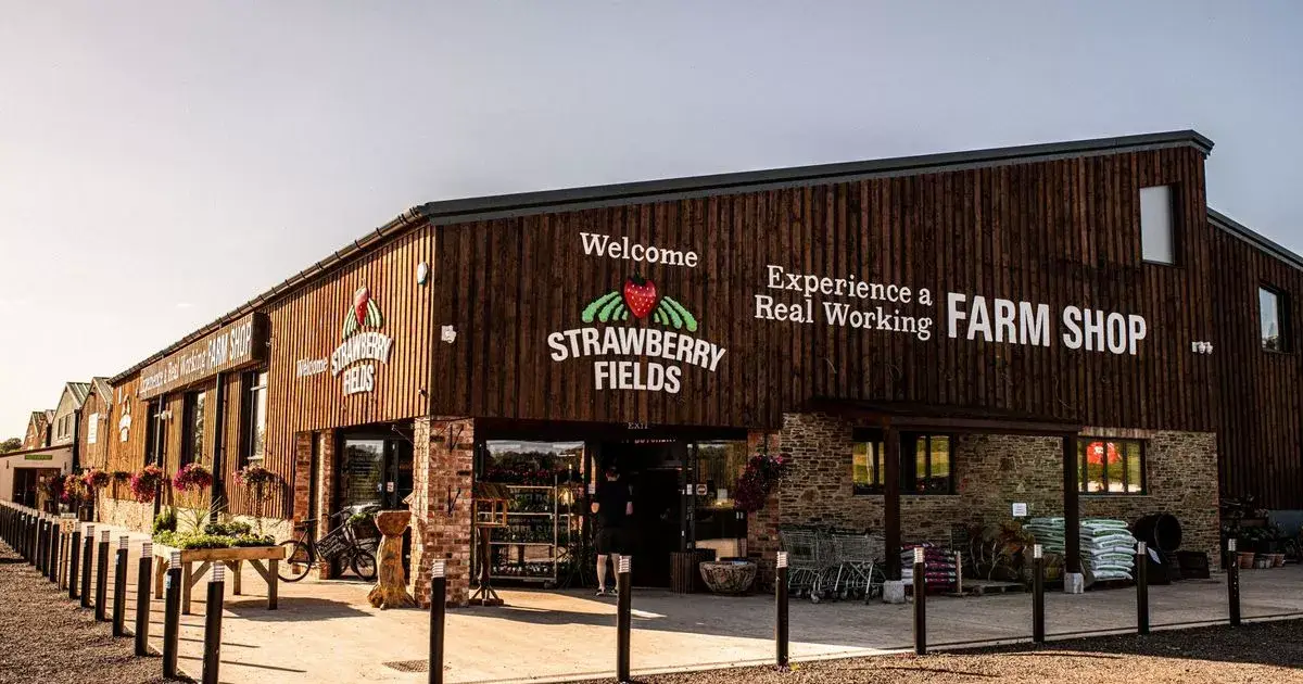 Discover the Best Farm Shop Experiences Near Plymouth for 2025